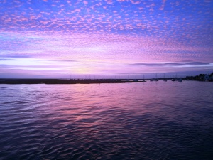 An early start to catch the tide out of Wells meant we could se the lovely dawn over the salt marshes.