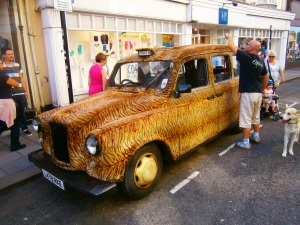 Only in Brighton! A taxi clad in fake tiger skin gets a brush up.