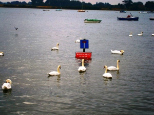 High spring tide at Bosham - the sign says it all.
